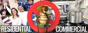 residential and commercial flea and fly control