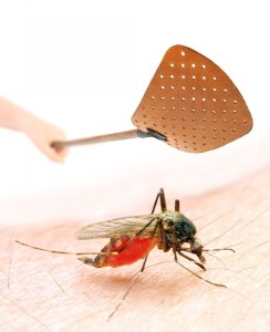 reasons to use professional mosquito control