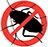 pest control brisbane cockroach